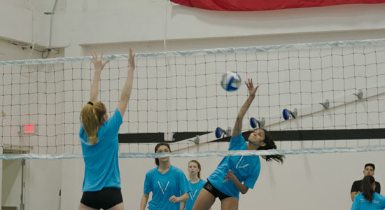Volleyball