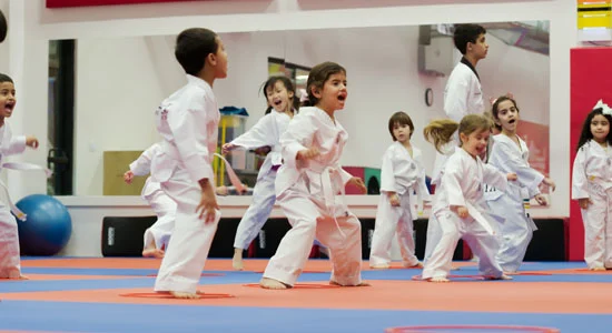 Taekwondo